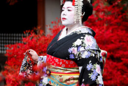 Japan_Autumn_2025 (24/47)